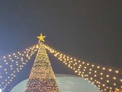 새해의 첫 데이트