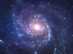 그래서 우리보고 뭘 하라고?