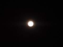 저쪽의 개차반...아니 숙녀분께서 보내시는 겁니다 (5)