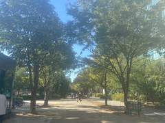 난 무계획이 좋다