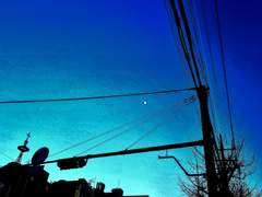 [카이아오] 올해에도 잘 부탁해