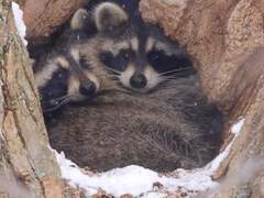 편지가 도착했습니다