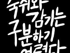 숙취와 감기는 구분하기 어렵다