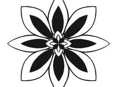 꽃2/프로크리에이트 브러쉬