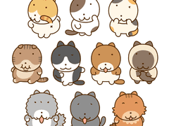 고양이 프사/프로필 사진 모음