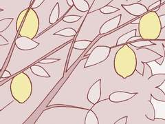 네게선 레몬향이 났다 15화