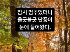 #6. 잠시 멈추면 눈에 보이는 것들