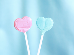 [우성명헌] 다정과 사랑의 연대