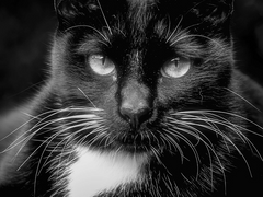 운명이 당신에게 장난을 친다면 (5)