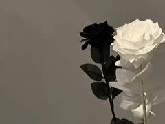 아름다운 인간. 이 시대의 최적의 사람인가? 아니, 외모는, 정말, 최악의 물건이다.