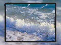 [무료 배경화면] 새해 (ipad ver.)