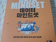 서평-공식을 넘어서는 데이터 마인드 셋(윤다영, 조선미 지음, 비제이퍼블릭, 비제이퍼블릭출판사)