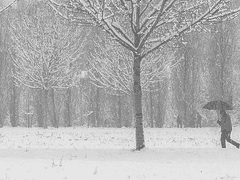 노마오 <待機> (대기)