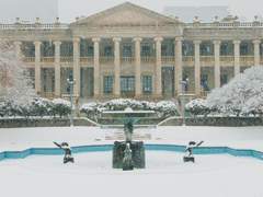 눈 오는날의 덕수궁