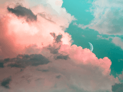 새해 기념 짜잘이 그림들