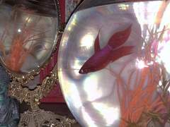 너는 내가 사라져도 모를 것 같아