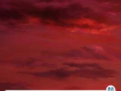 마호야쿠 2주년 스토리 감상타래 백업_2