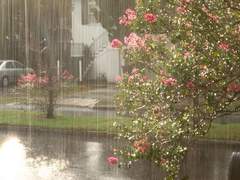 그 애가 나에게 보냈던 편지지에는