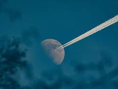 (글쓰기) 어떻게 시작해야하는가 (1. 1 글쓰기의 목적)