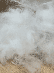 그 여우에게 속지 마세요