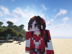 마인크래프트 스킨 배포