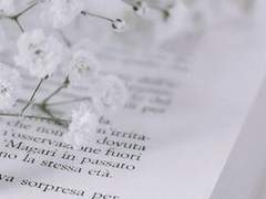 하얗게 흩뿌려질 명성.