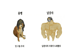 납관사 보고서