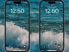 [배경화면] 바다의 산물 SET