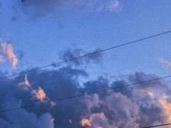 당신들에게 전하는 겁쟁이의 인간찬가론