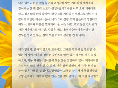 [헤르아젬] 바라다