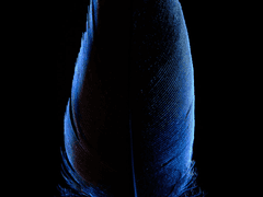 그 신에게서 벗어나는 방법 (2)