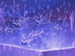 그 뱀의 낭만적 연애사 17