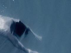 白眼視(백안시) 2