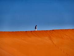 사막이 아름다운 건