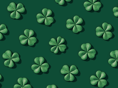 24년도 로또(1000원)