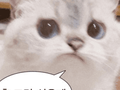 X 단체방 X TALK ++