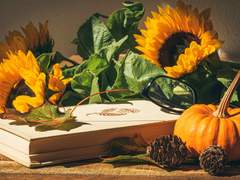 [✳] 운▊ 기▊▊ 보▊서