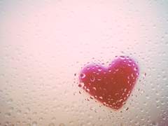 [준수상호] 나의 꿈은 맑은 바람이 되어서 (2)