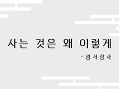 [백천이설] 사는 것은 왜 이렇게_섬서참새