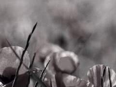 내가 잃어버린 기억에게,