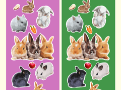 유화 토끼 스티커♡ | 굿노트용 png