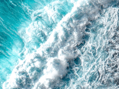 라즐리_33_여성_해군