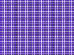 [경향신문] 콘서트 암표 사기꾼 이민호를 아십니까