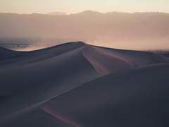 내가 사랑하는 삶