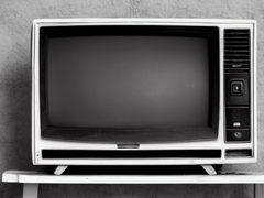 [세리레이] 여름의 코O케 또한 저 레이겐 아라타카가 받겠습니다.