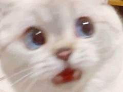 나만보기 아까운 엔시티 나페스 추천 2