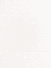 그 세계의 우리는?