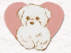 하얀라쿤로우 보송보송 말티즈 스티커