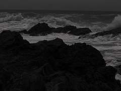 앙상블스타즈!! 천사님을 모십니다