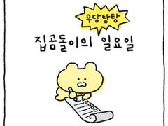 집곰돌이의 일요일